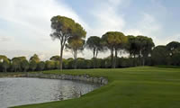 cornelia faldo golf course